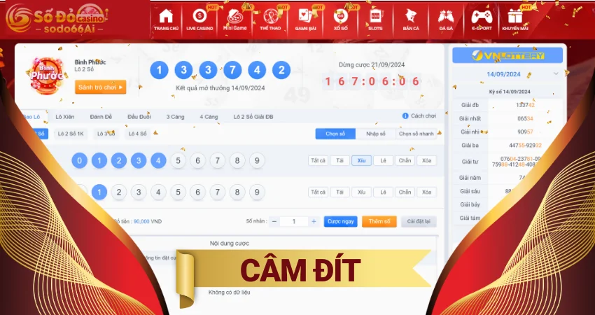 Câm Đít Là Gì? Lô Về Câm Đít Hôm Sau Đánh Con Gì?