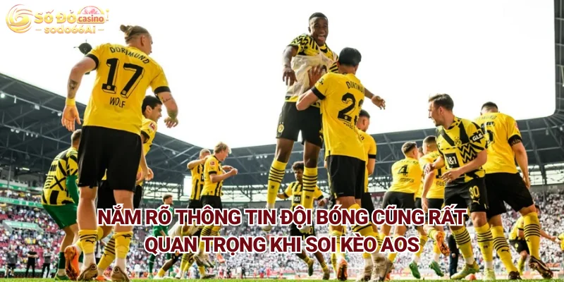Nắm rõ thông tin đội bóng cũng rất quan trọng khi soi kèo AOS