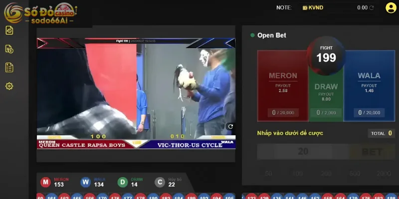 Những trận đấu kê được phát trực tiếp qua màn hình