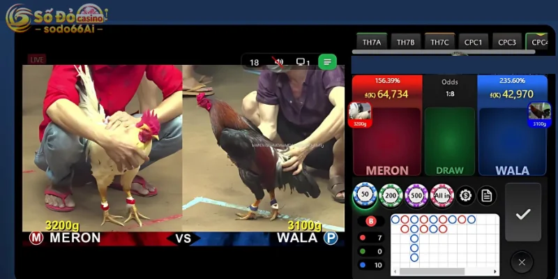 Trải nghiệm giải trí cùng bộ môn đá gà Thomo