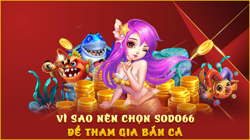 vì sao nên chọn sodo66 để tham gia bắn cá